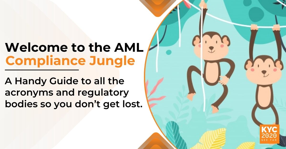 Navigating the AML Compliance Jungle: A Glossary of AML Terms
